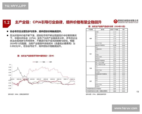 单固模式下企业创新路径与市场竞争力提升的多维度分析与实践探索 单固模式下企业创新路径与市场竞争力提升的多维度分析与实践探索